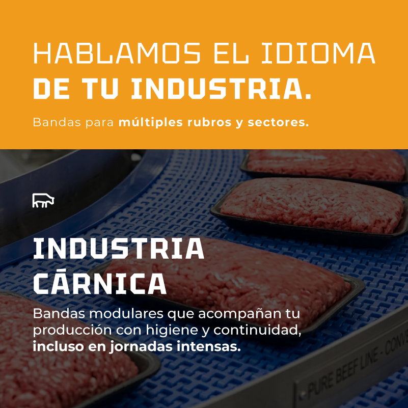 Industria Carnica